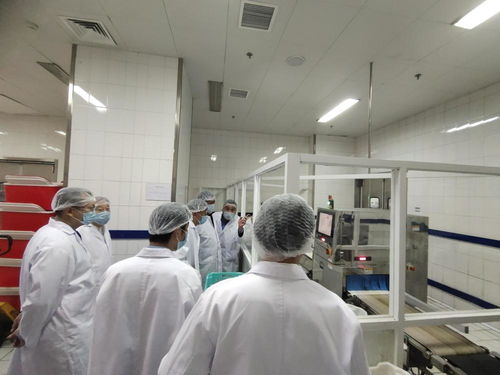 智能科技賦能民生服務 金豐餐飲自動化配餐與婚姻介紹服務的創新融合