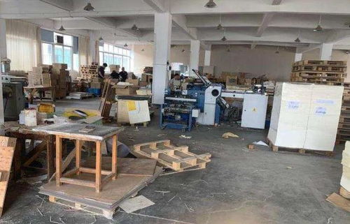 溫州富婆10年付出600萬包養男友，卻遭拳擊身亡，愛與背叛的警示