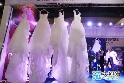 鄭州婚介市場亂象調查 用戶資產隨意填，個人信息無隱私保護